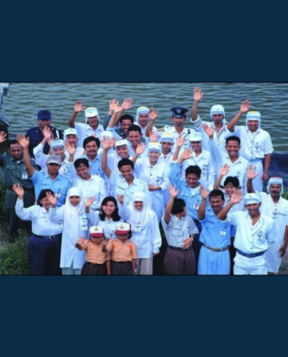 Case Studies LSO