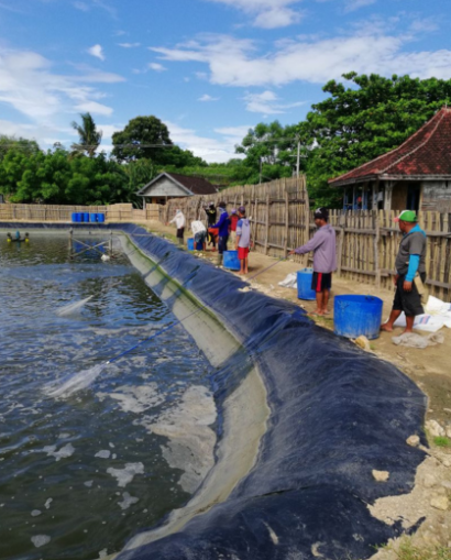 case_study_lso_langkawi_2