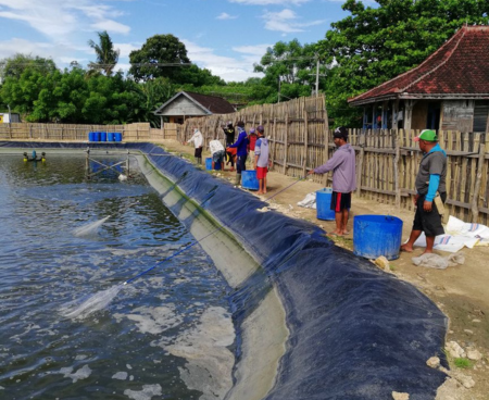 case_study_lso_langkawi_2 case_study_lso_langkawi_2